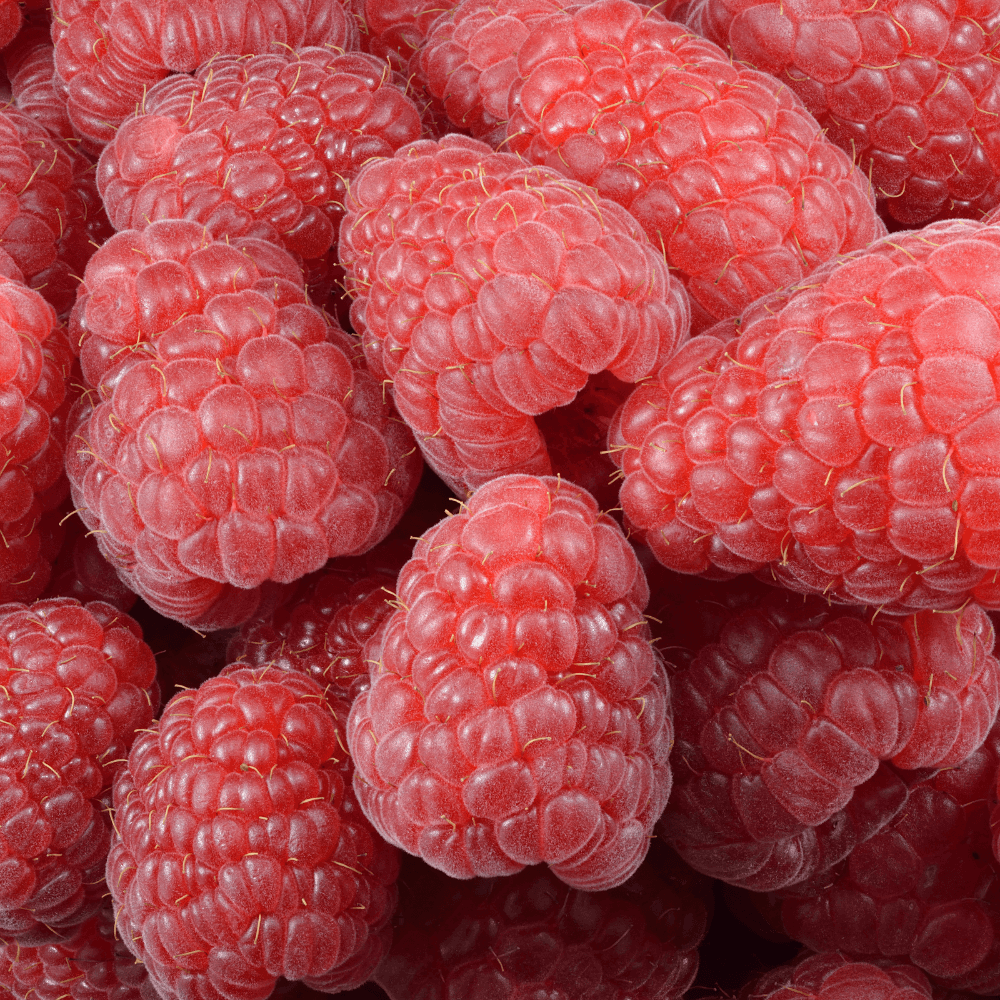 Fruit and Berry Seeds