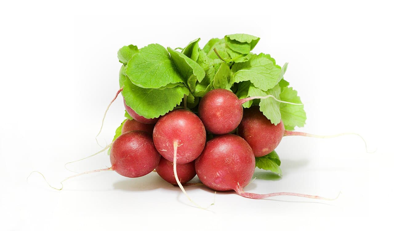 Radish & Turnip Seeds