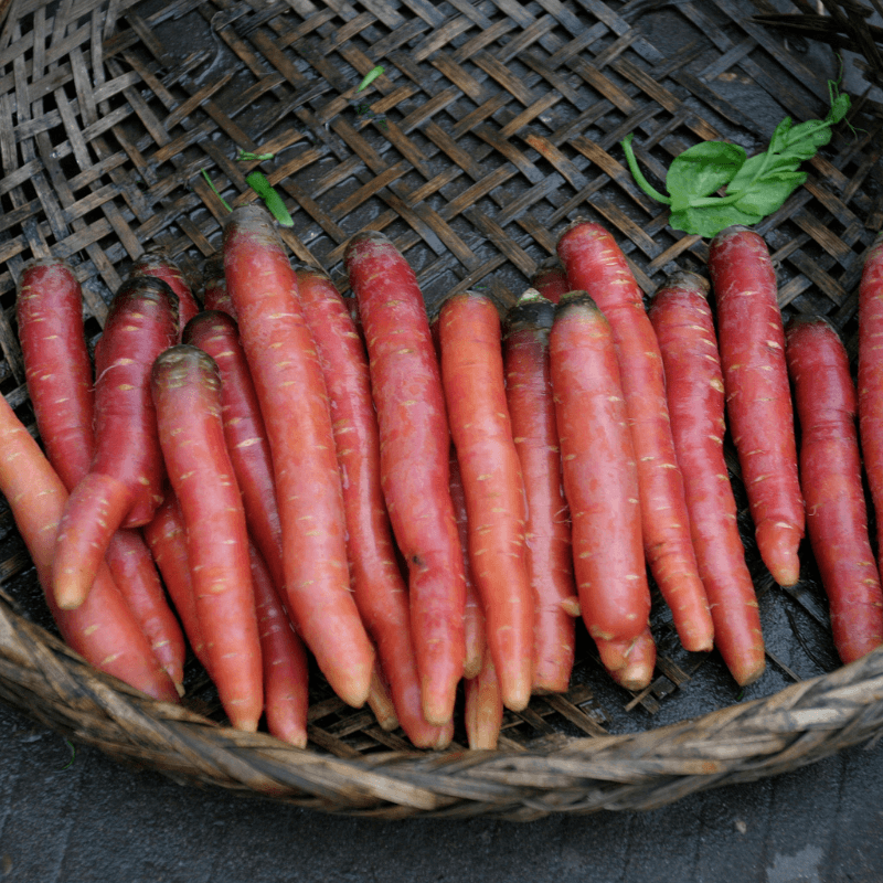 Carrot, Beetroot & Root Crop Seeds