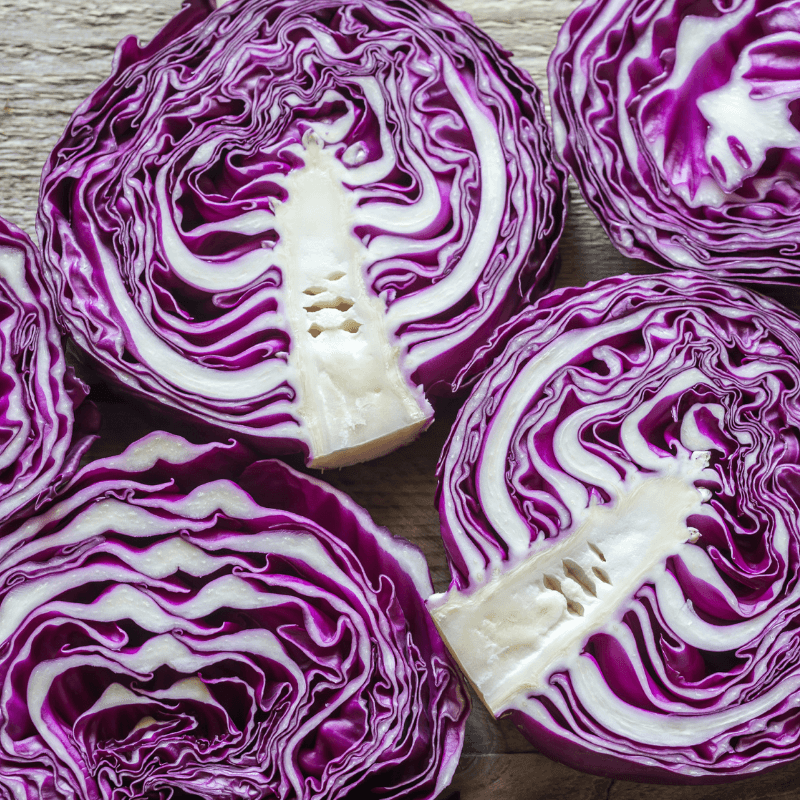 Cabbage red Seeds