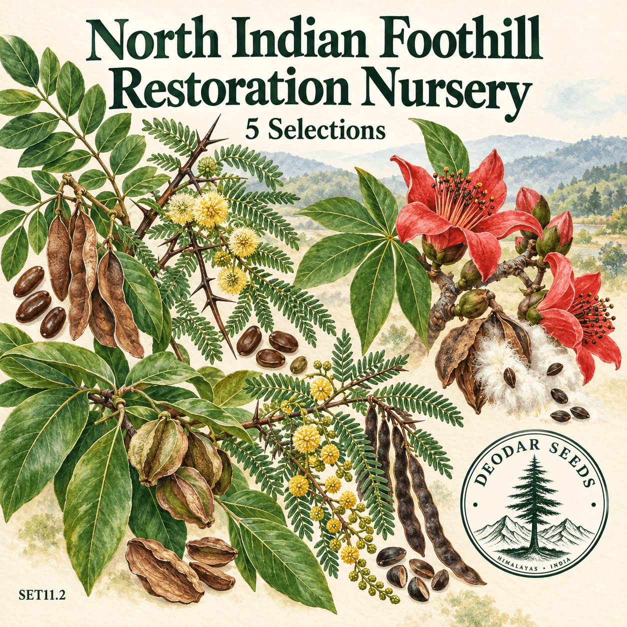 North Indian Foothill Forest Restoration Nursery Collection, 5 Seed Varieties