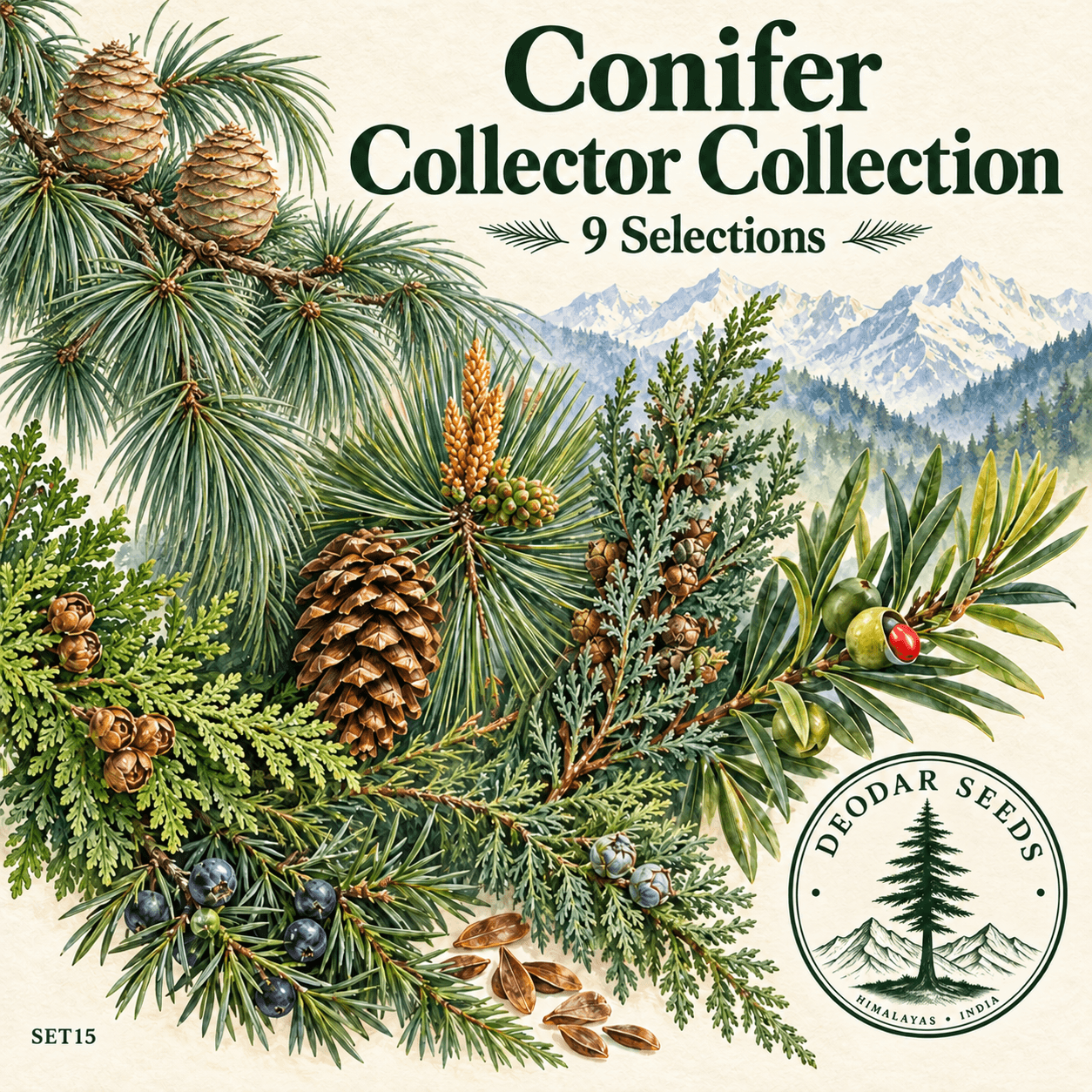 Conifer Collector Collection, 9 Seed Varieties