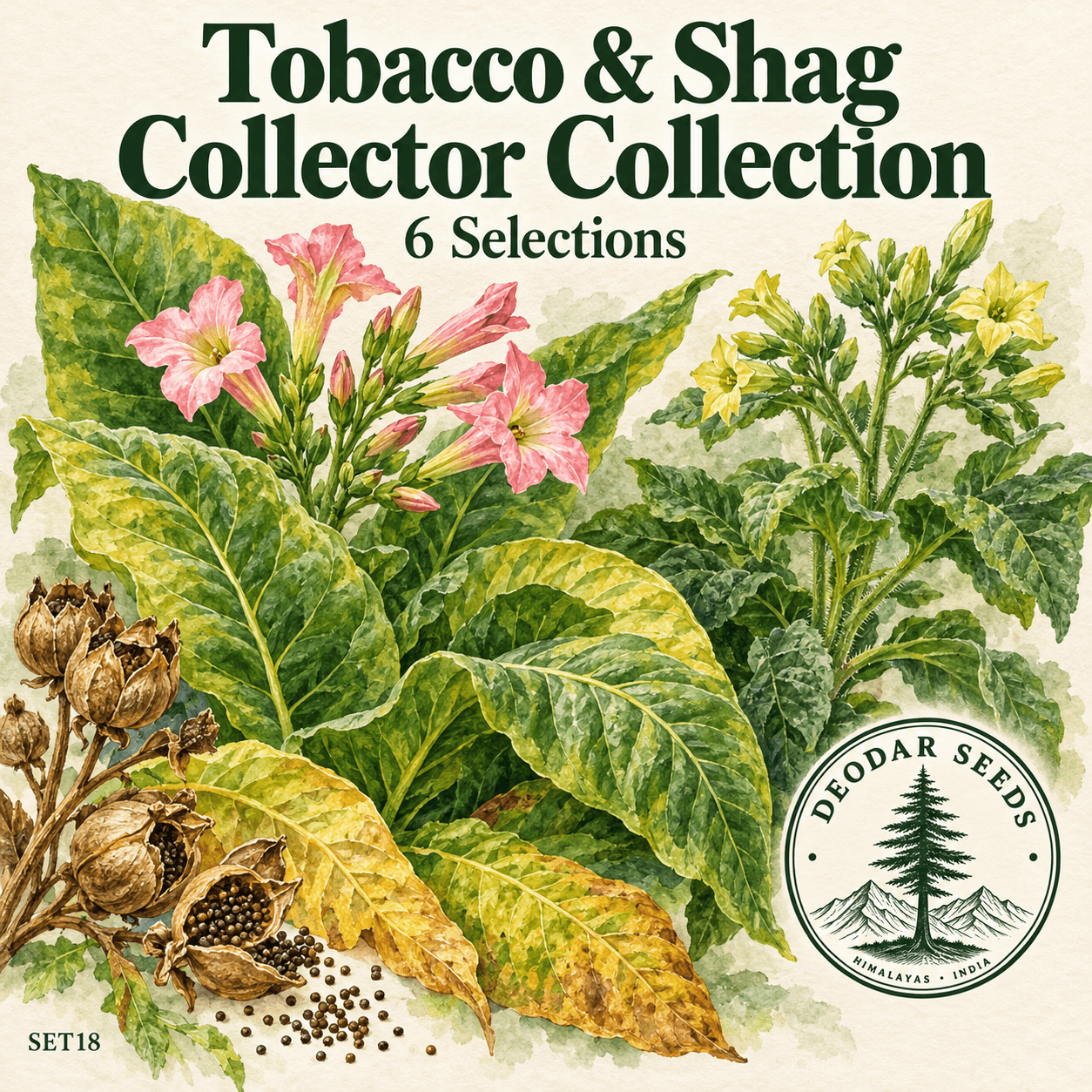 Nicotiana Collector Collection — 6 Seed Selections