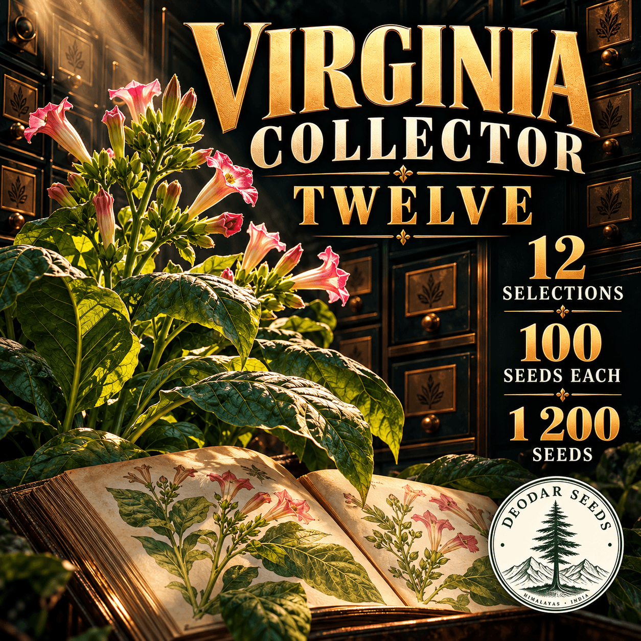Virginia Collector Twelve — 12 Seed Selections | Nicotiana tabacum