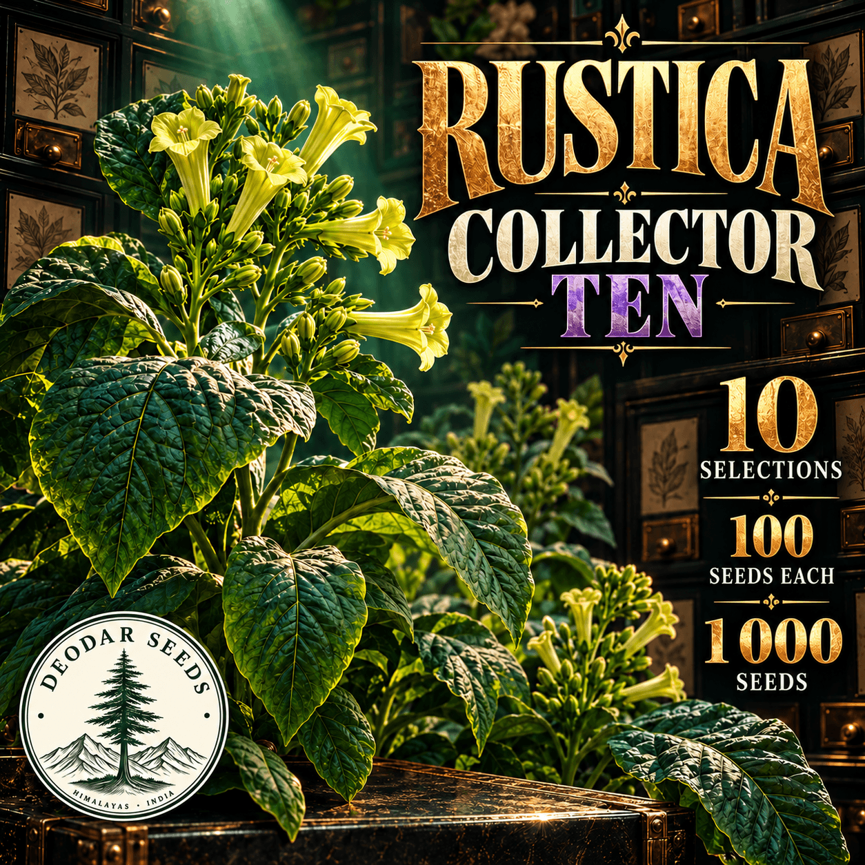 Rustica Collector Ten — 10 Seed Selections | Nicotiana rustica