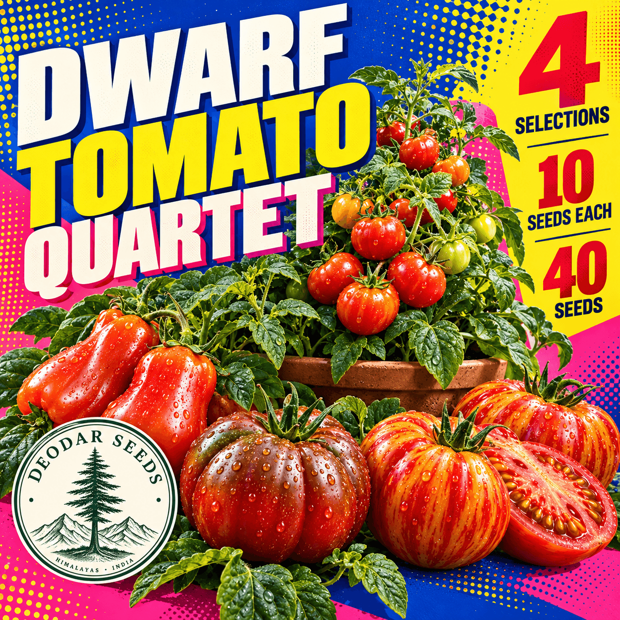 Dwarf Tomato Quartet — 4 Seed Selections