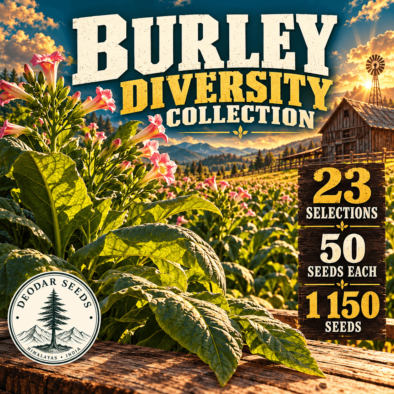 Burley Diversity Collection — 23 Seed Selections | Nicotiana tabacum