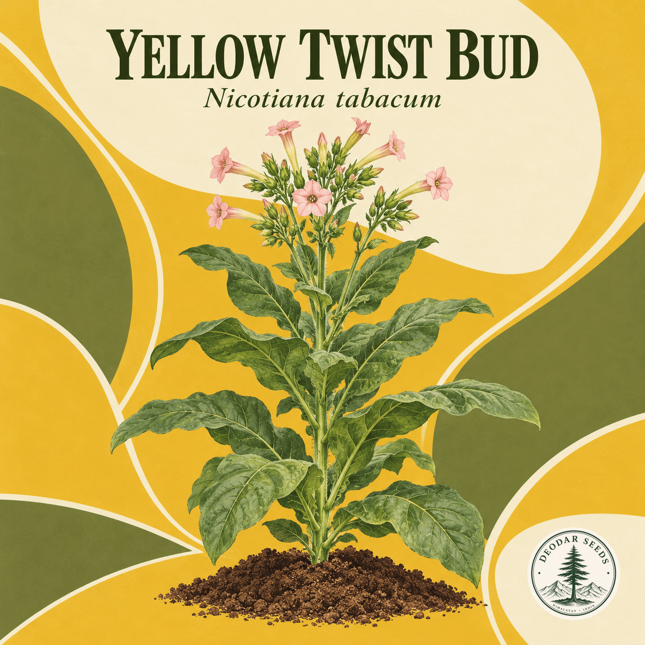 Illustrated cover: YELLOW TWIST BUD (Nicotiana tabacum)