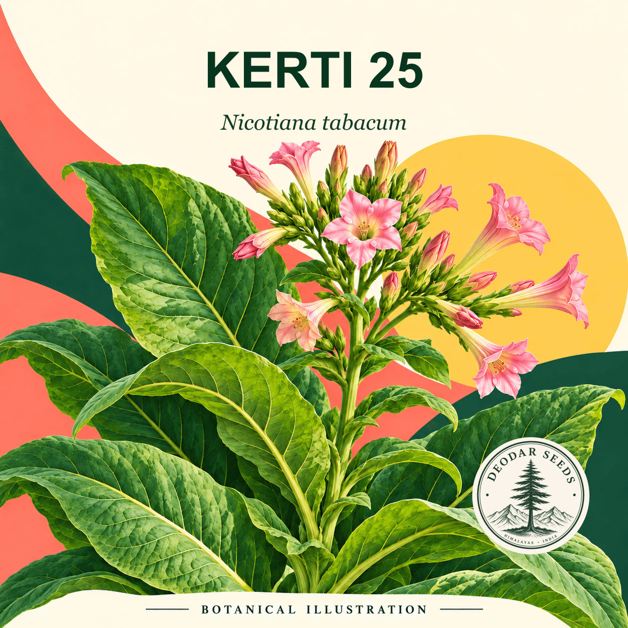 Illustrated cover: KERTI 25 (Nicotiana tabacum)