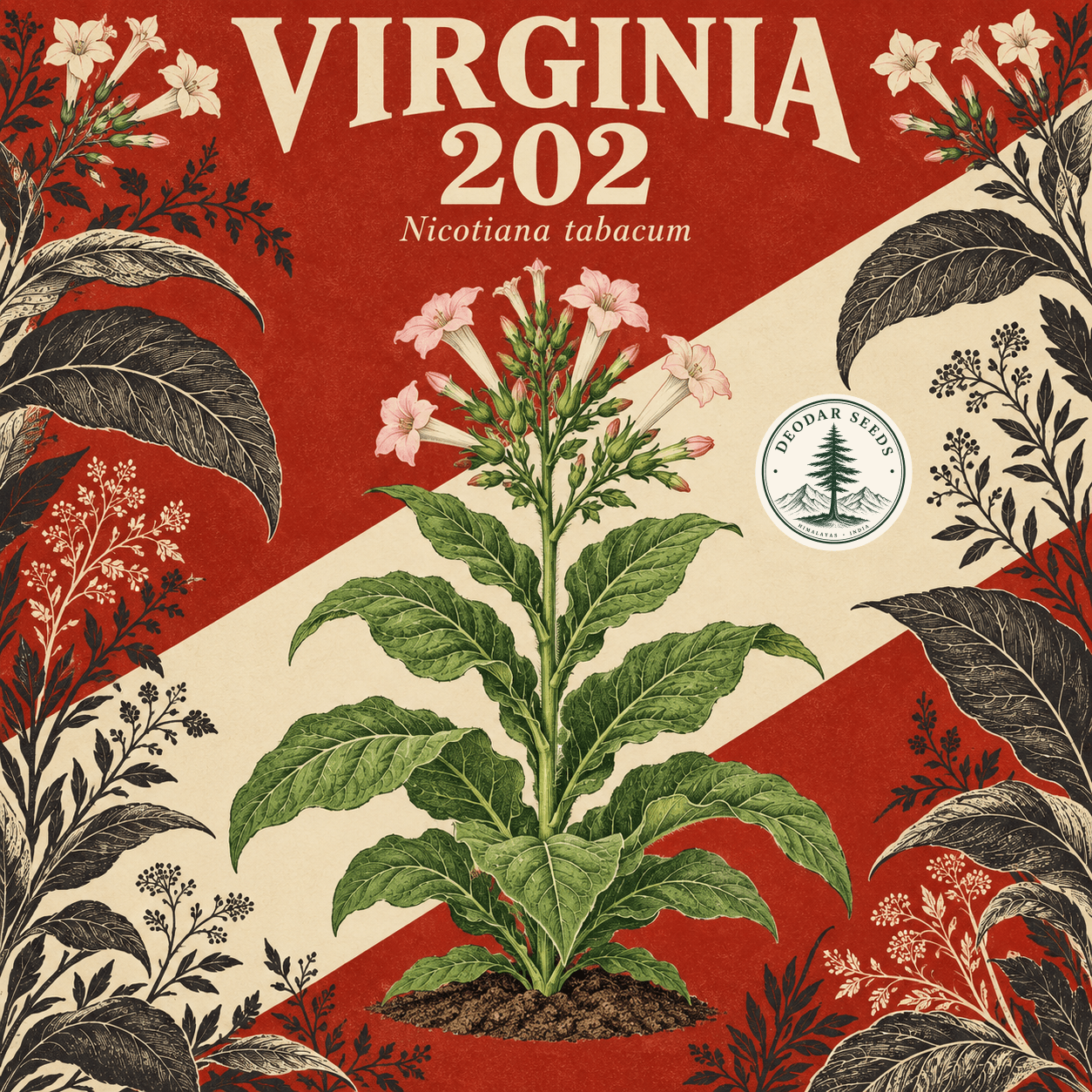 Illustrated cover: VIRGINIA 202 (Nicotiana tabacum)
