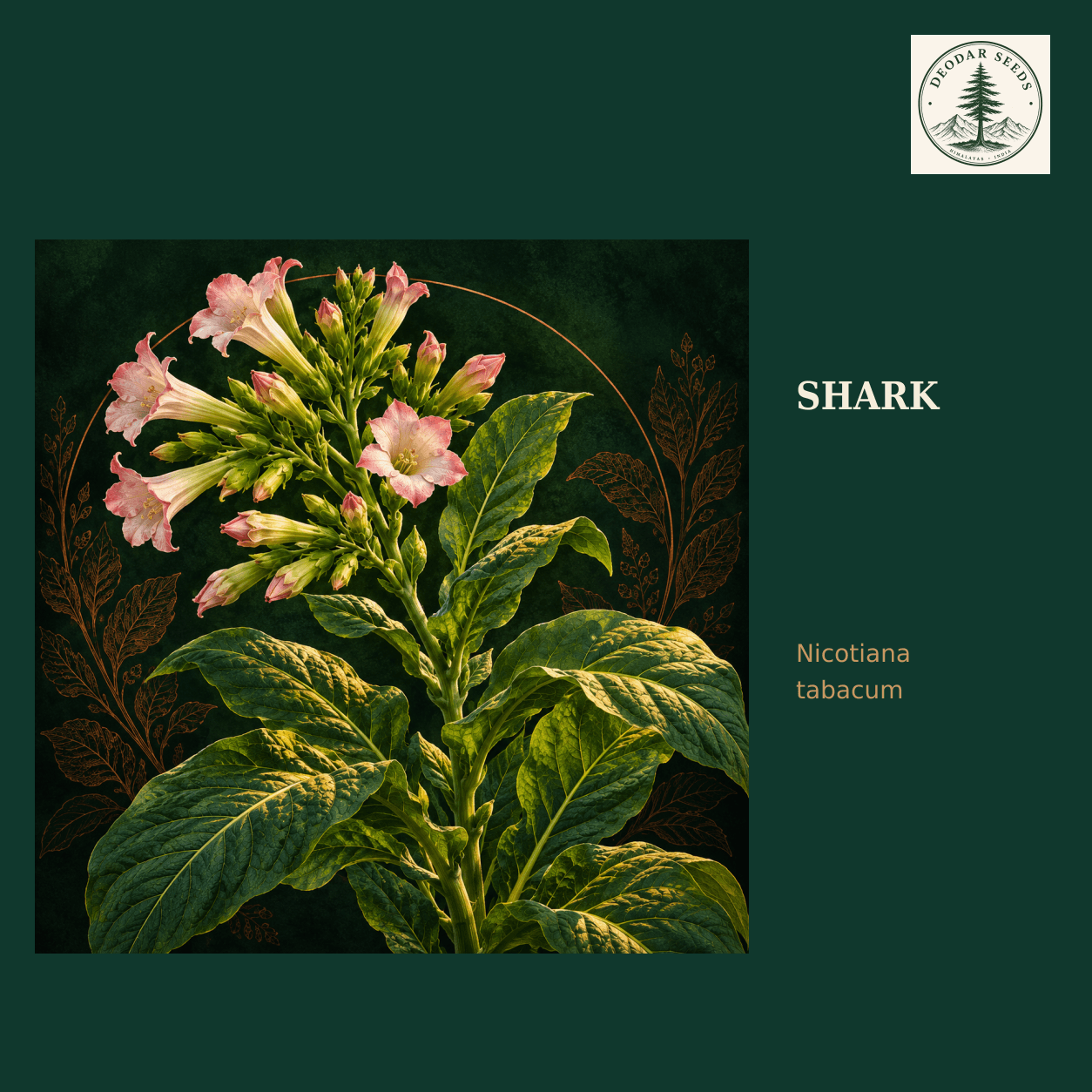 Shark seed selection cover with Nicotiana tabacum botanical artwork.
