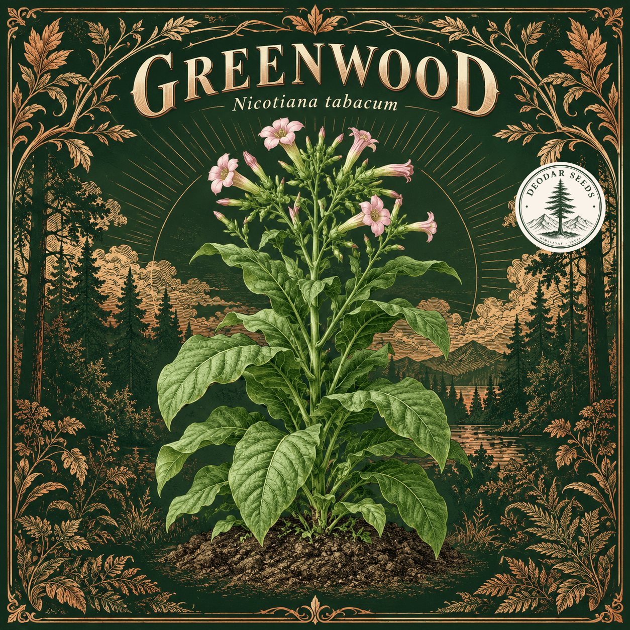 Illustrated cover: GREENWOOD (Nicotiana tabacum)