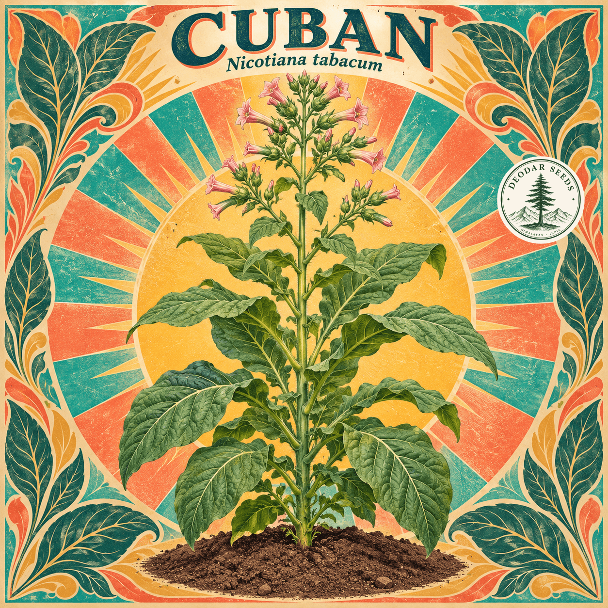 Illustrated cover: CUBAN (Nicotiana tabacum)