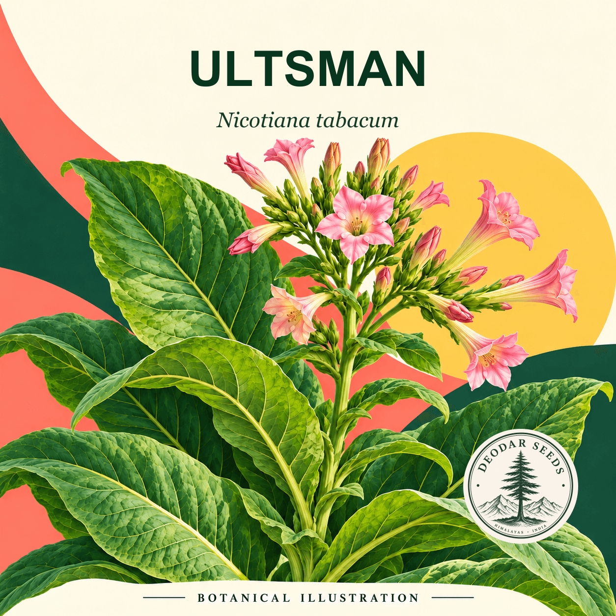 Illustrated cover: ULTSMAN (Nicotiana tabacum)