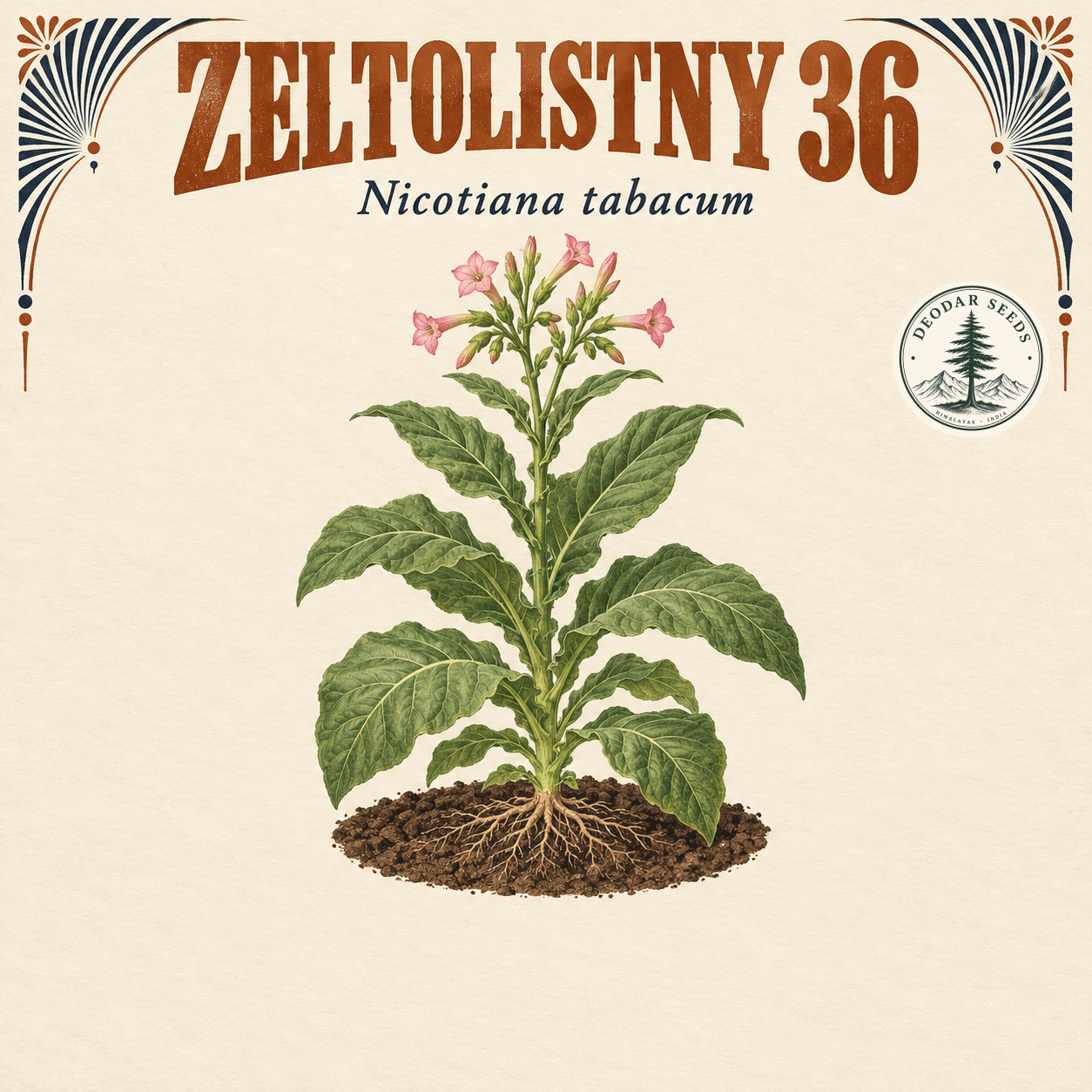 Illustrated cover: ZELTOLISTNY 36 (Nicotiana tabacum)